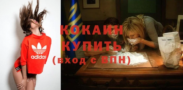 индика Беломорск