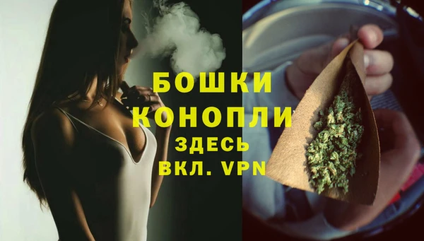 mdpv Белокуриха