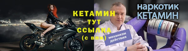 индика Беломорск