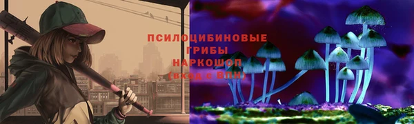 индика Беломорск