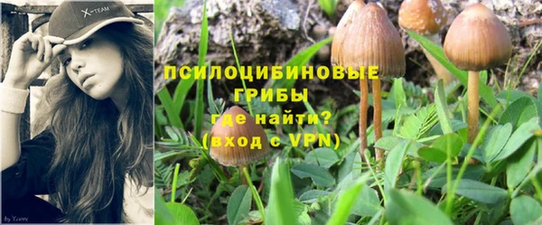mdpv Белокуриха