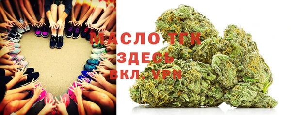 индика Беломорск