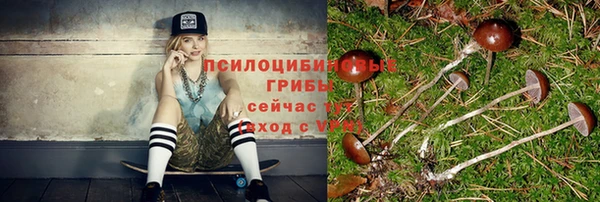 индика Беломорск