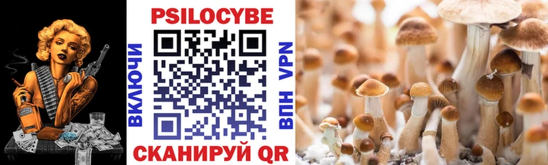 Псилоцибиновые грибы Cubensis Горняк